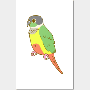 Yellow Sided Green Cheek Conure Posters and Art